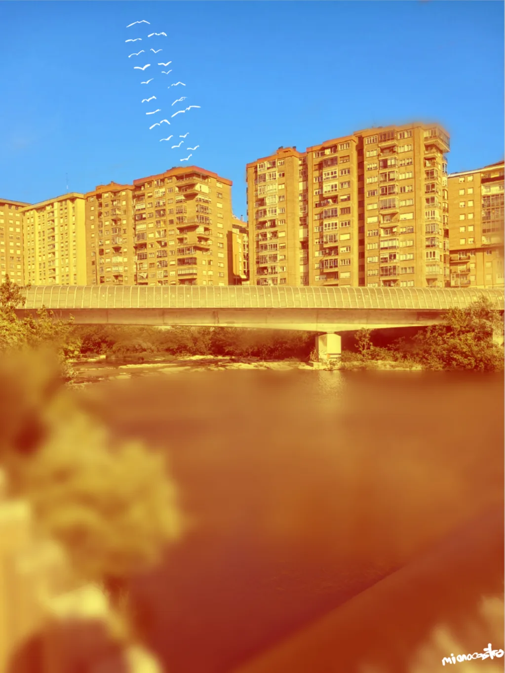Buen paseo para dibujar y estar tranquilamente