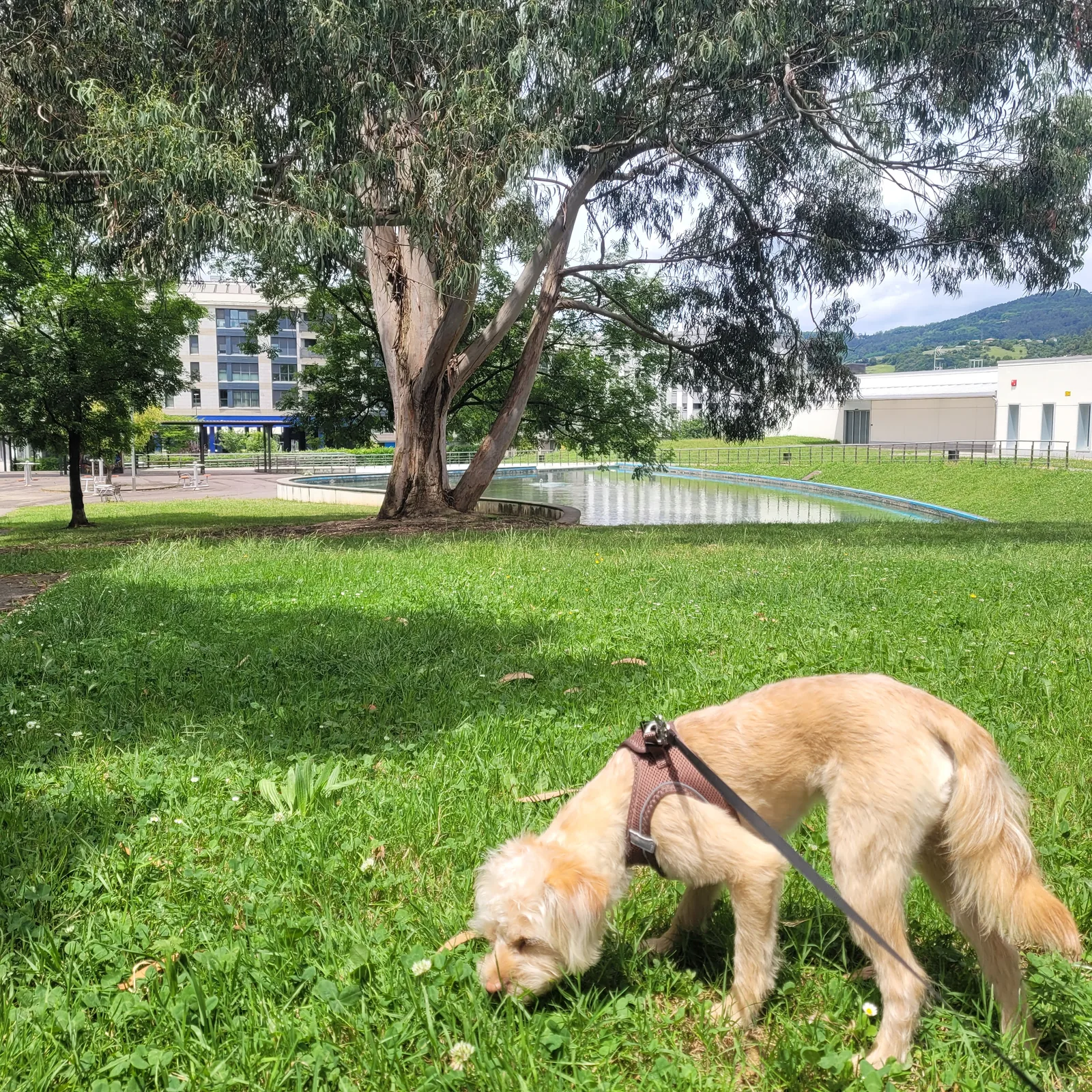 Parque de Ekhi