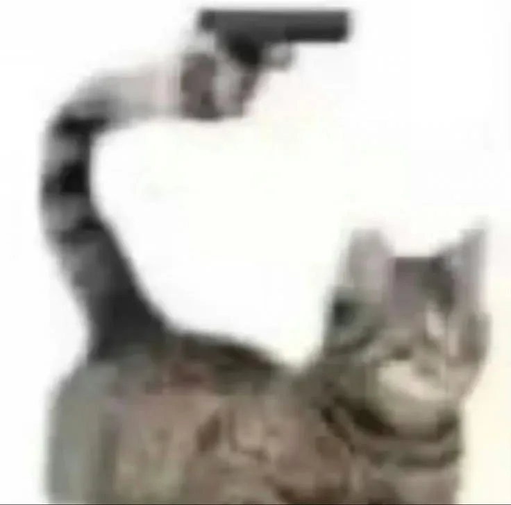 Foto de perfil del usuario